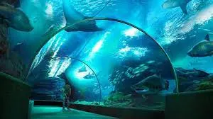 Combo Sea Life and Madame Tussauds Bangkok Merlin