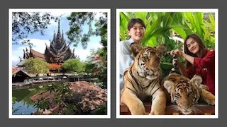 Sanctuary Of Truth Tiger Park Pattaya Combo Tour from Bangkok
